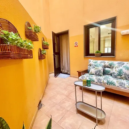 Mariposa 大加那利岛拉斯帕尔马斯